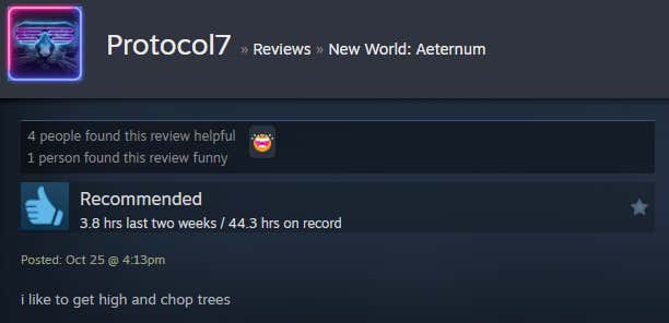 Image of the article titled New World: Eternal, as described in a Steam review